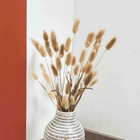 Appartement, Proche Jardin Des Plantes * Angers