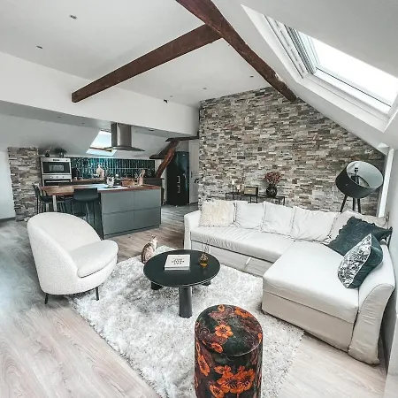 Appartement, Proche Jardin Des Plantes * Angers